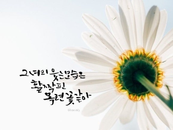 그아인 이미지
