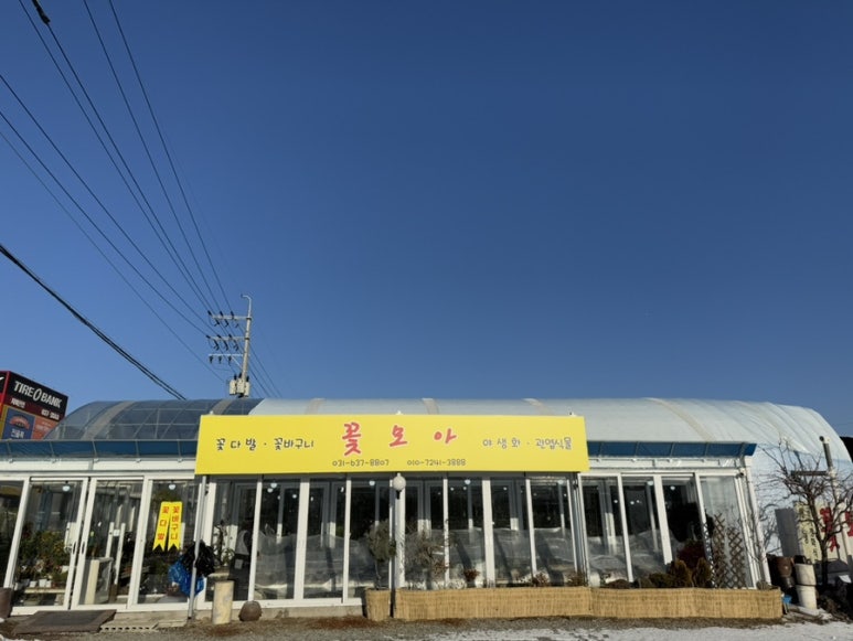 모아꽃집 이미지