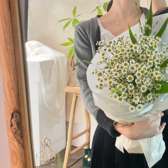 로지트리 이미지