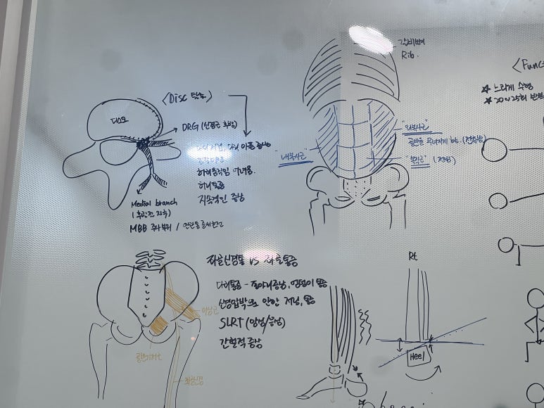 서울본마취통증의학과의원 이미지