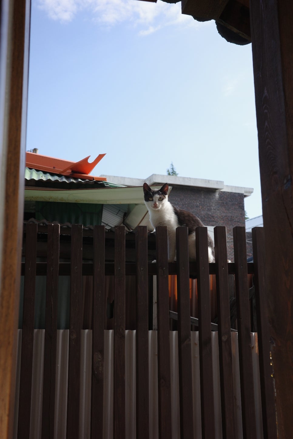 Casa de verano 이미지