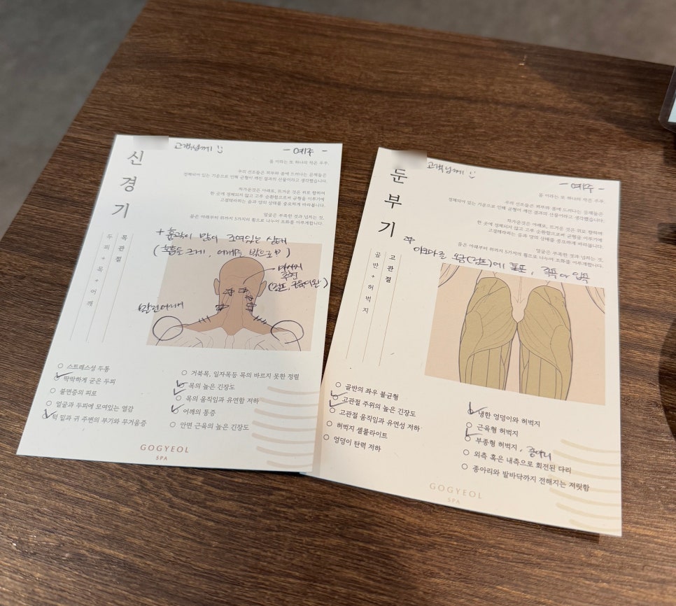 스파고결 이미지