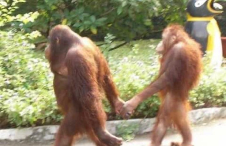 길만두 이미지