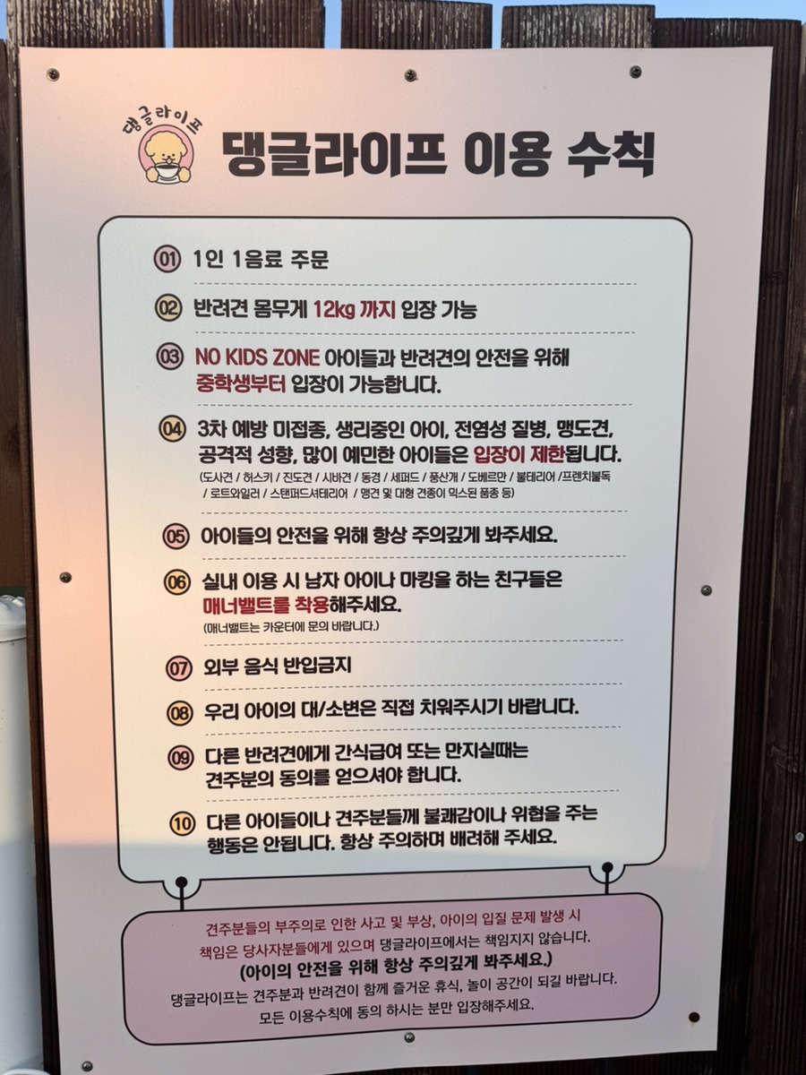 용인 애견카페 댕글라이프: 인조잔디 운동장과 쾌적한 실내 — 사진 4