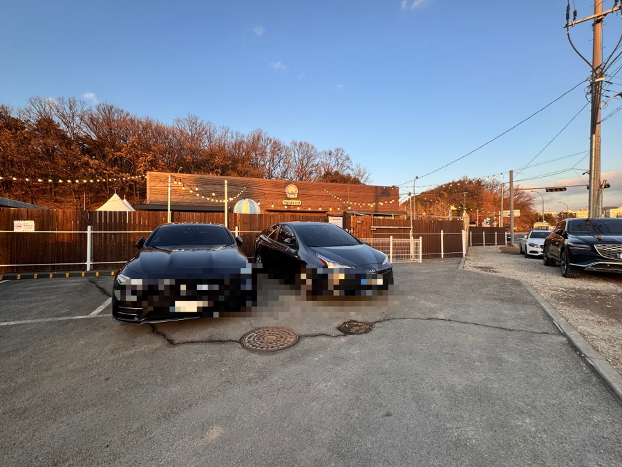용인 애견카페 댕글라이프: 인조잔디 운동장과 쾌적한 실내 — 사진 3