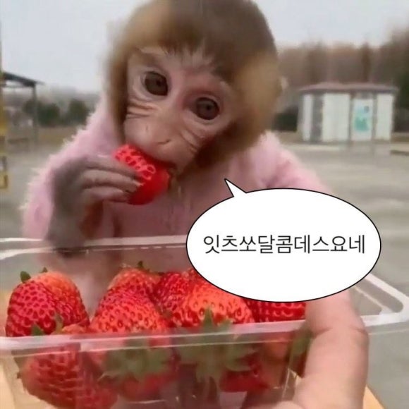 유진손수제비 이미지