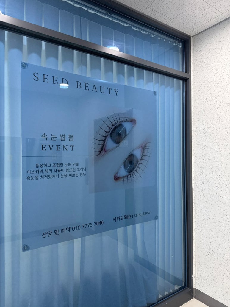 디자인시드 이미지