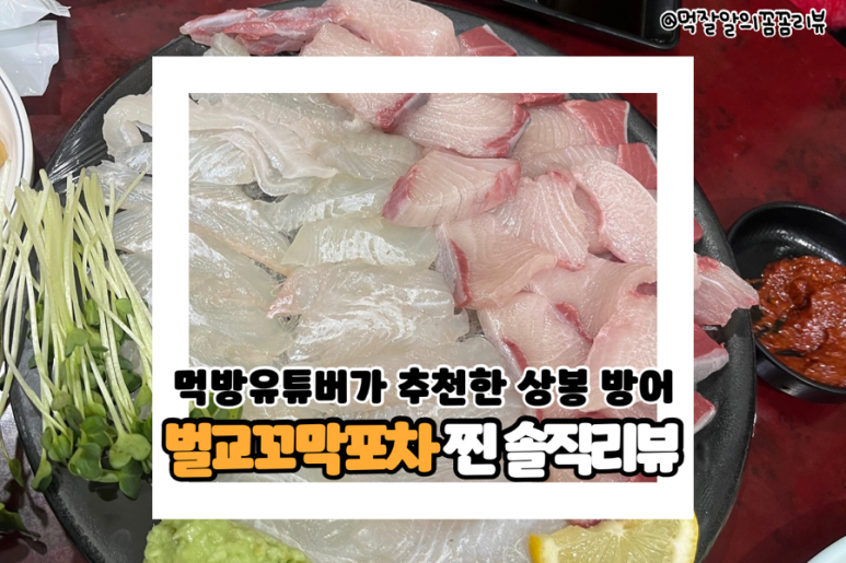 홍길동포차 이미지