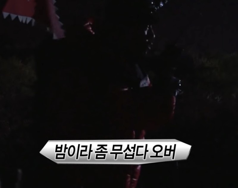 스타민박 이미지
