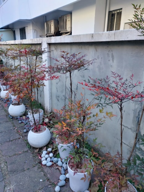 전원손칼국수 이미지