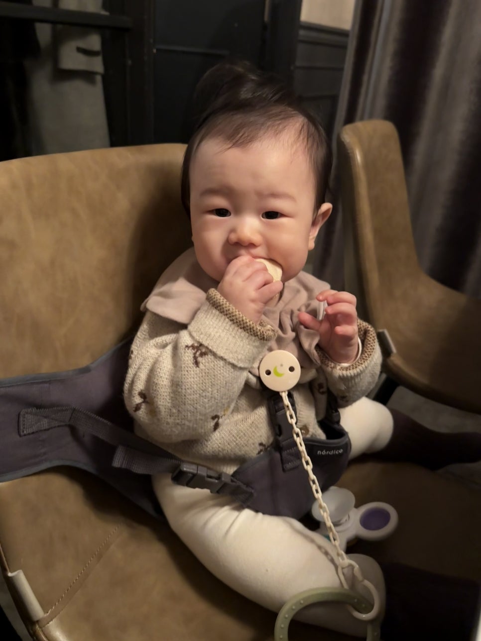 비놀릭스위트 이미지