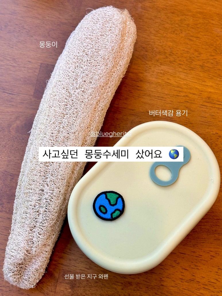 블루게리타 이미지