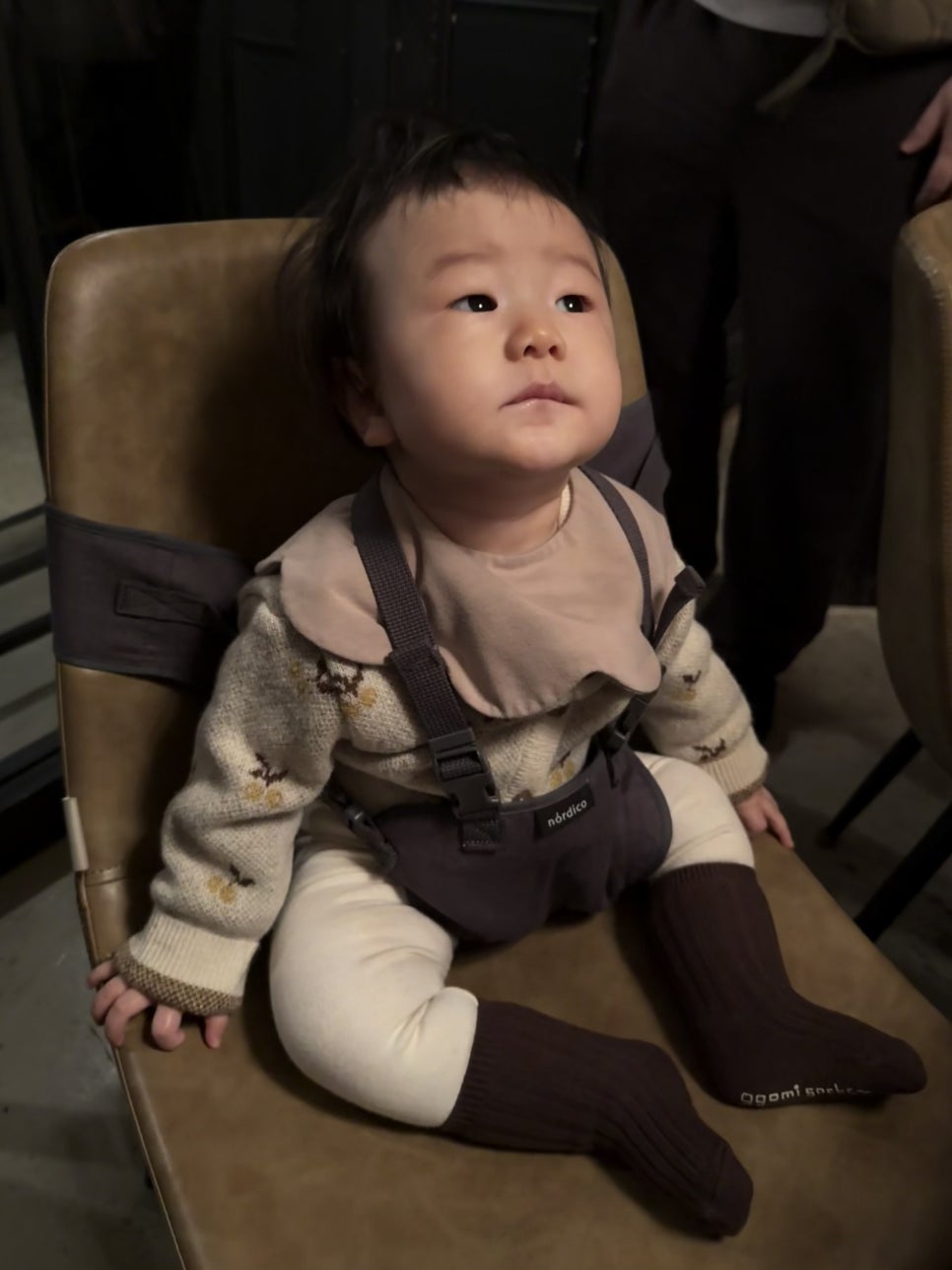 비놀릭스위트 이미지