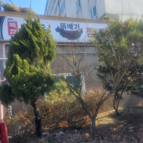 도원뚝배기짬뽕홍천점 이미지