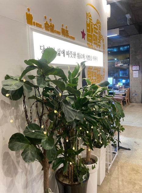 밤은짧고요순살은맛있고맥주는차가워요 이미지
