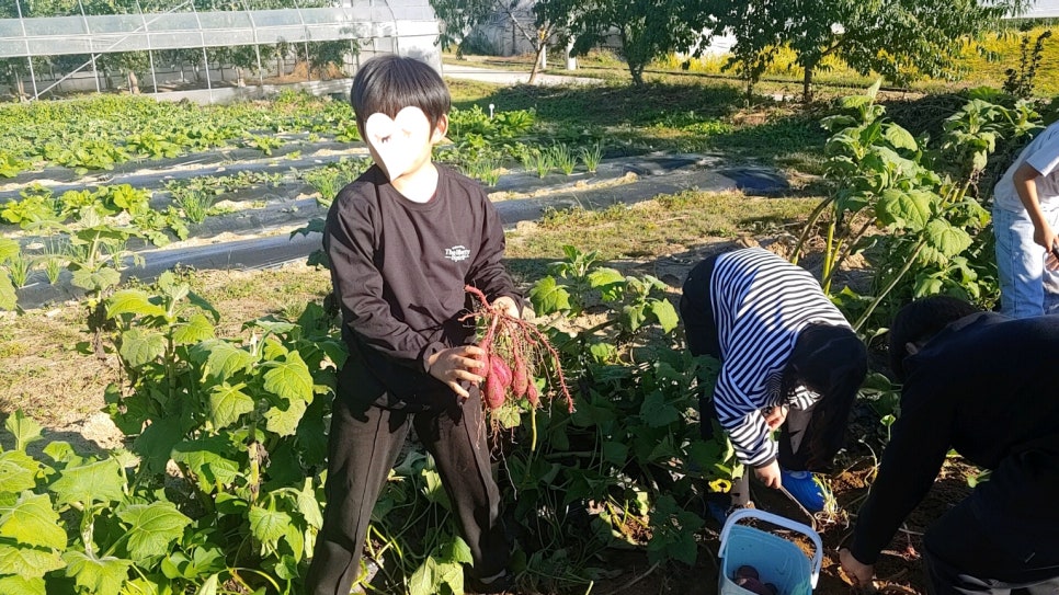 춘천사회서비스지원센터 이미지