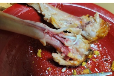 가마치통닭동탄 이미지