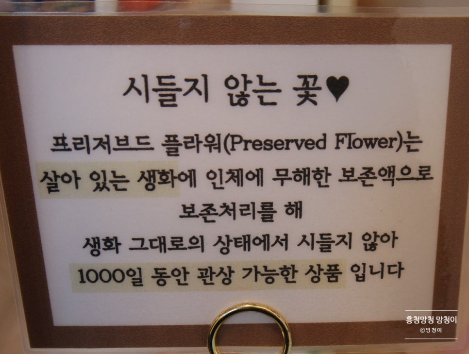 벨르플라워 이미지