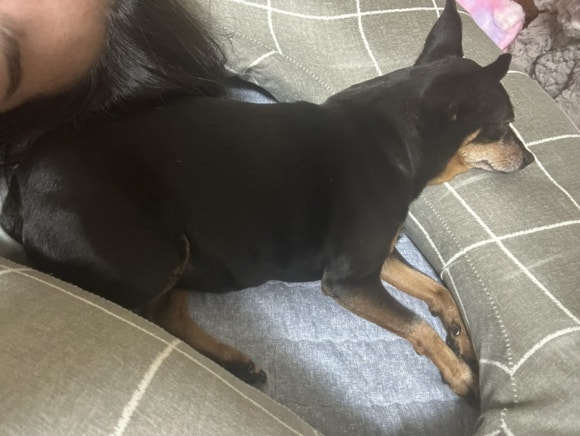 방랑식객짬뽕 이미지