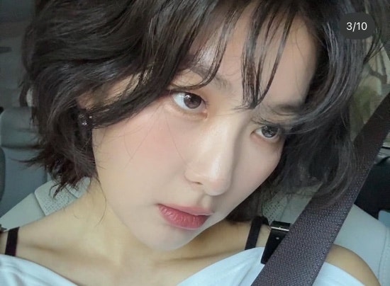 벨리티 이미지