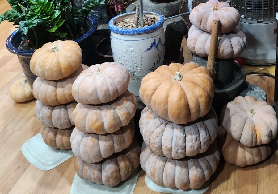 두메촌 이미지