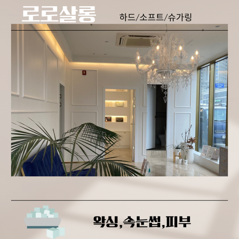 로로살롱 이미지