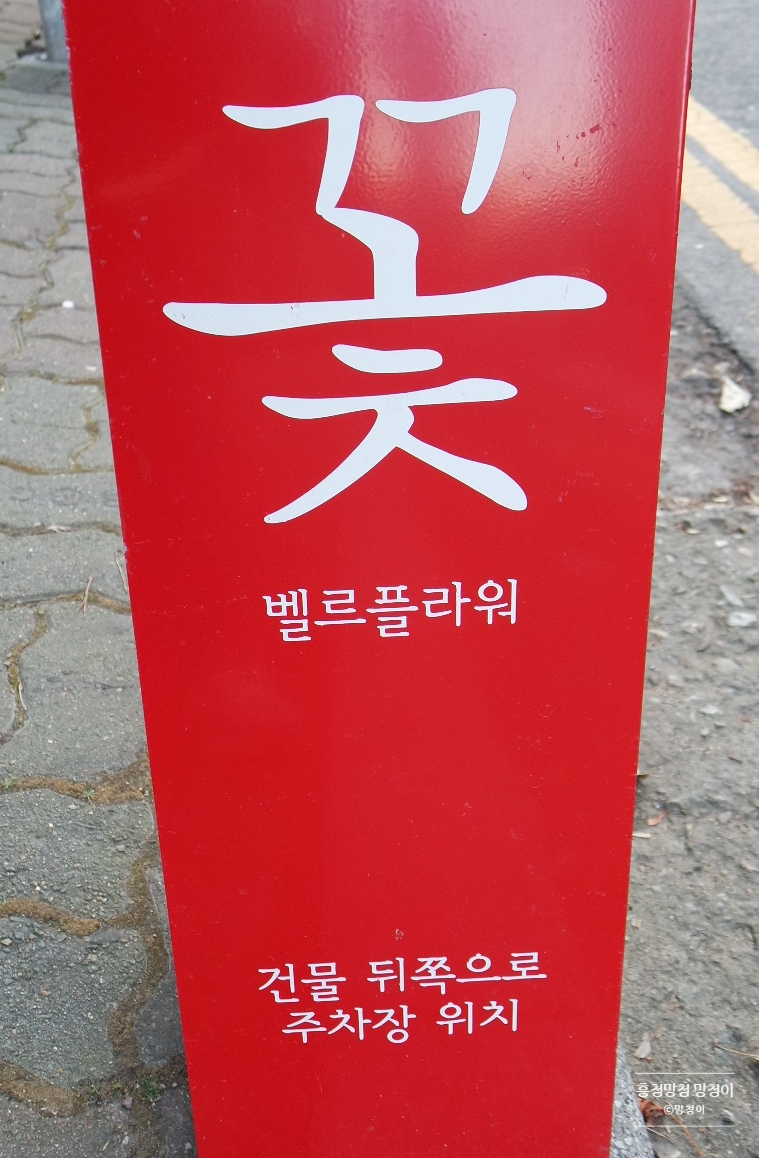 벨르플라워 이미지