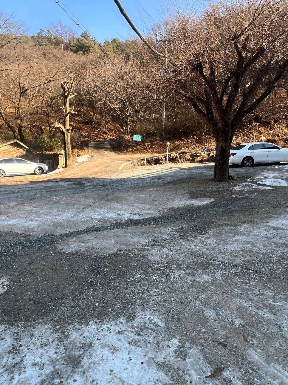 참치공주 이미지