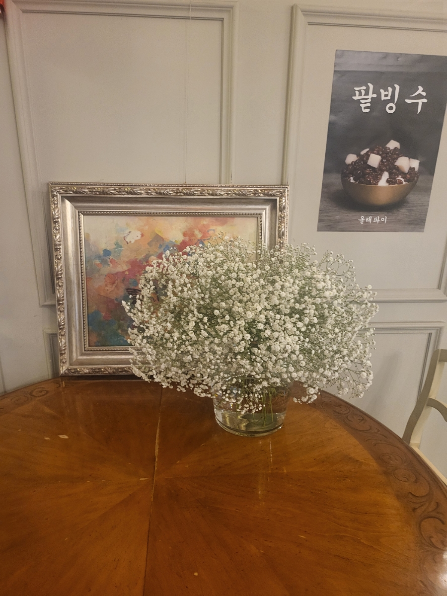 올래파이 이미지