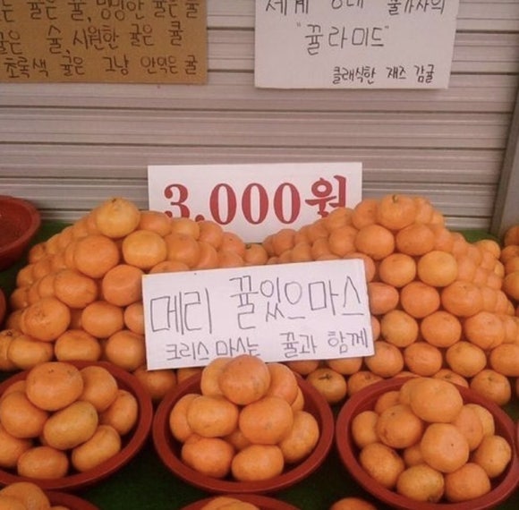 하이얀 이미지