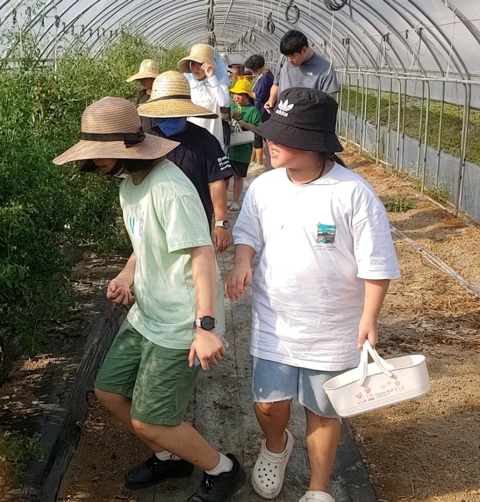 춘천사회서비스지원센터 이미지