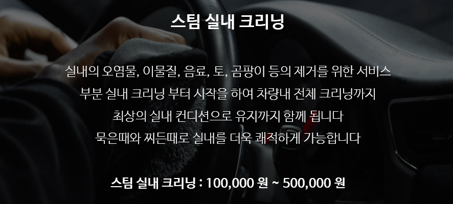 브이아이피디테일링 이미지