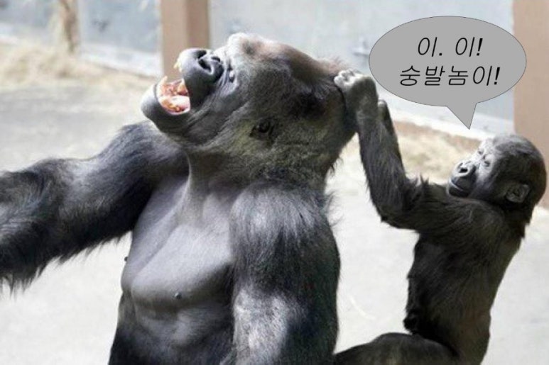 낭만여행 이미지