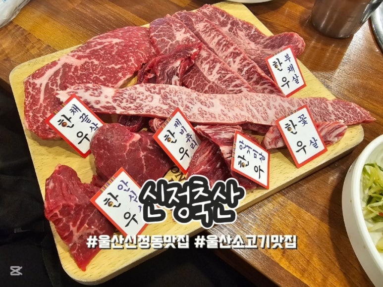 신정축산 이미지