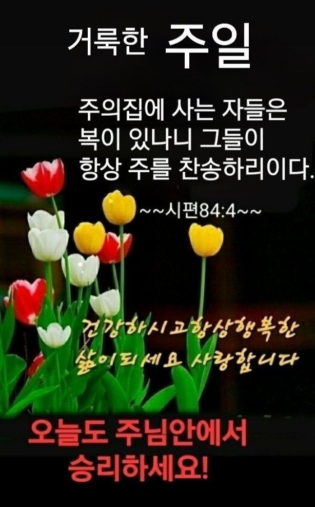 하오츠 이미지