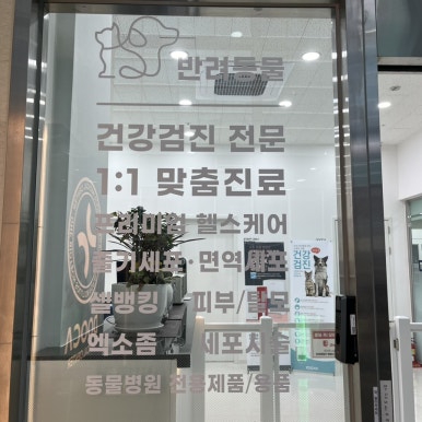 카메디컬 이미지