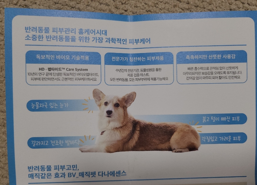 다나펫 이미지