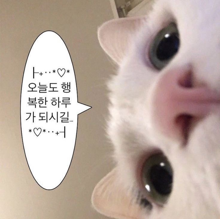 내음성 이미지