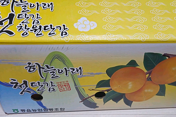 비프룻 이미지