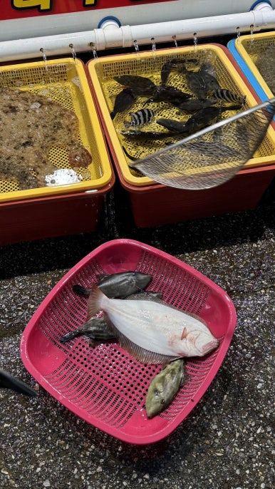 오라회식당 이미지