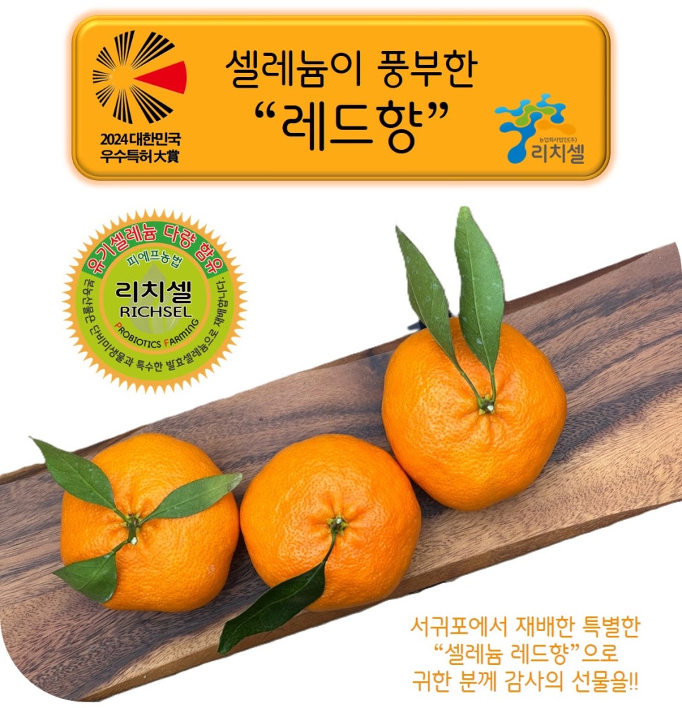 레드향 이미지
