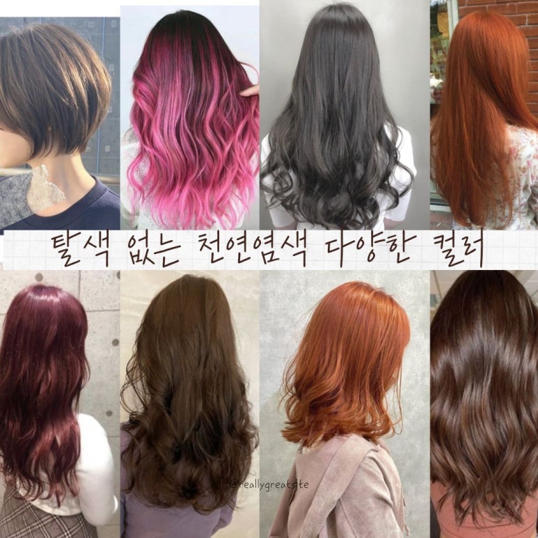 머릿결사랑 이미지