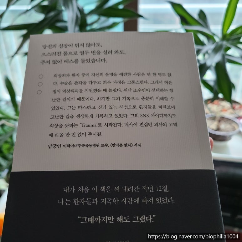 이명성형외과 이미지