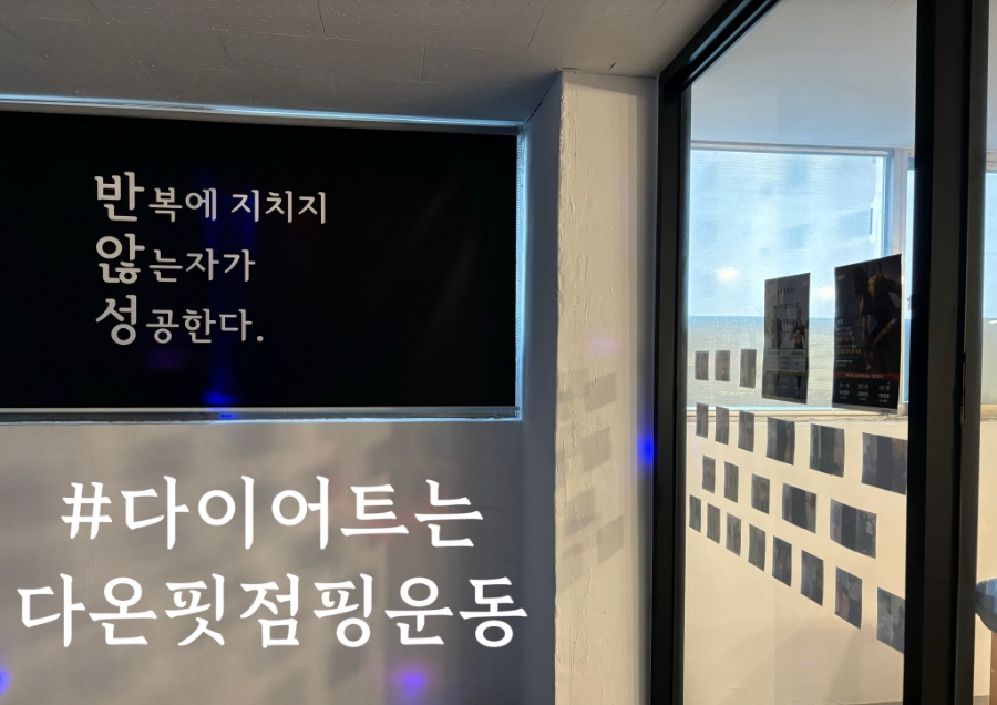 더다온 이미지