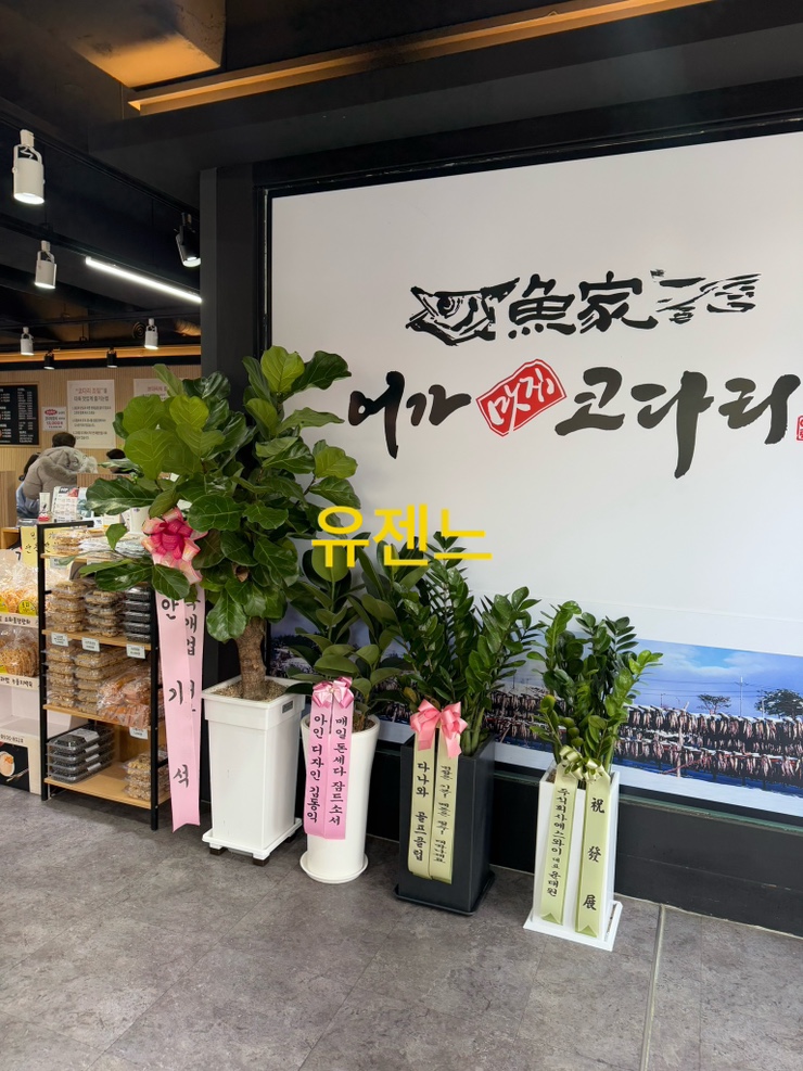 어가코다리 이미지