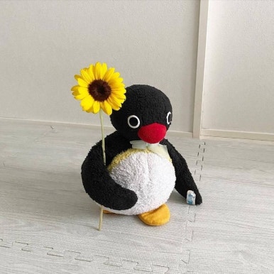 오늘도;빛나 이미지