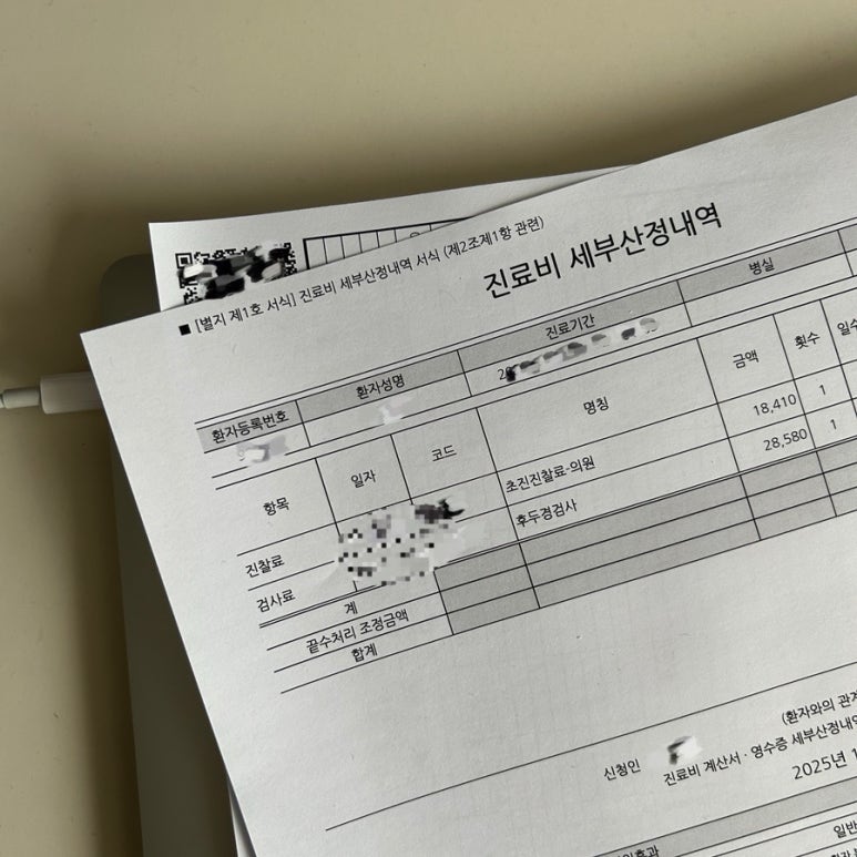 하마실비 이미지
