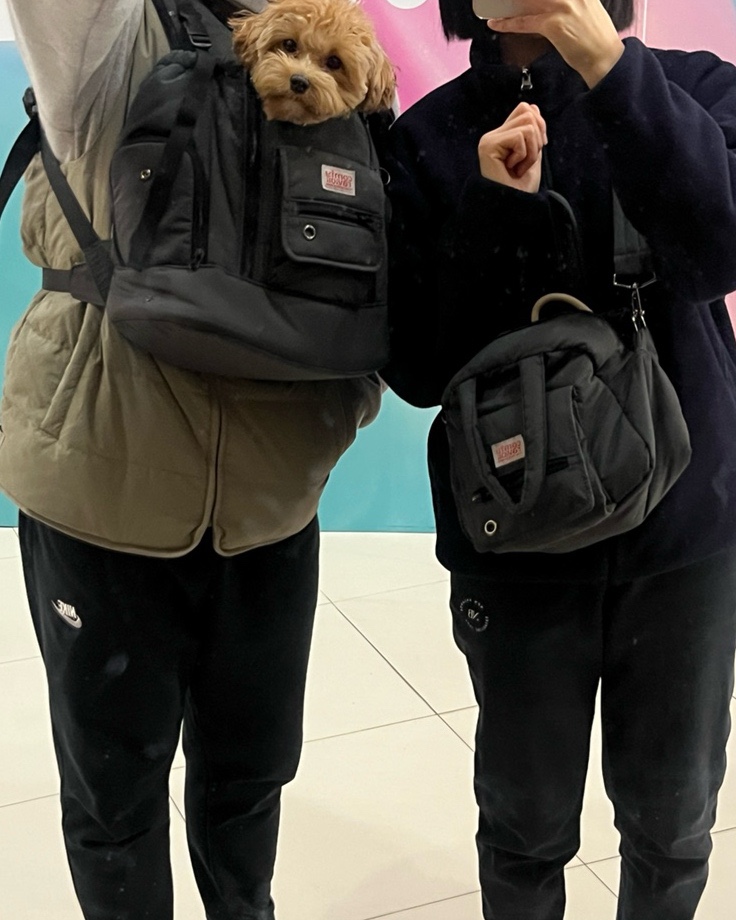 텐마일 이미지