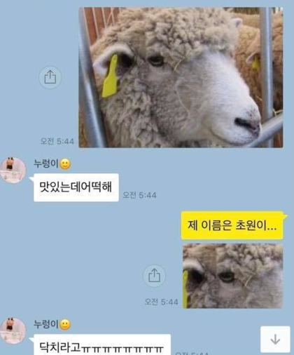 유일양꼬치 이미지