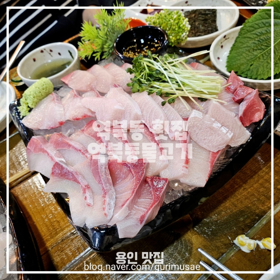 역북동물고기 이미지